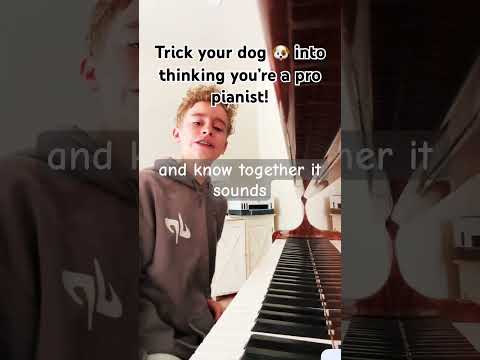 🎹 Trick your dog 🐶 into thinking you’re a pro pianist! #piano #tutorial #pianotutorial
